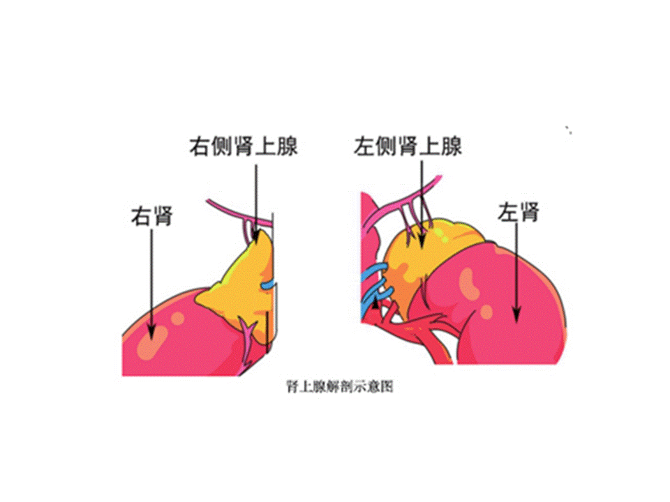 幻灯片1.GIF