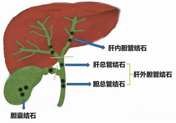 微信图片_20250908162631.png