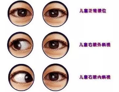 3.webp.jpg