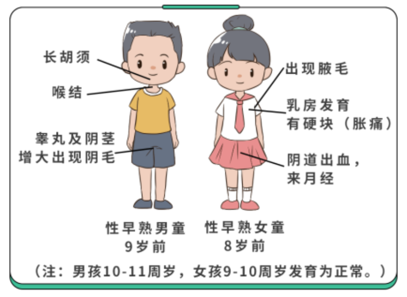是hgv.png